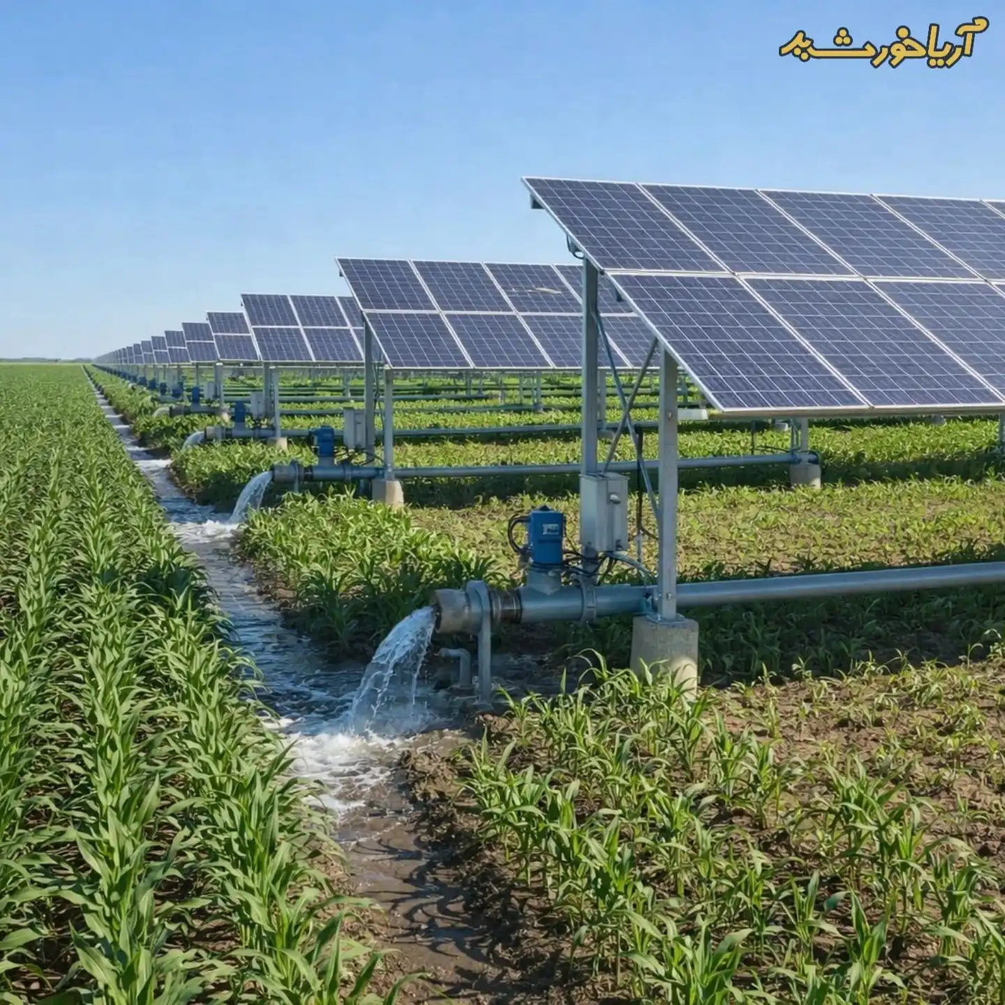برق خورشیدی برای کشاورزی