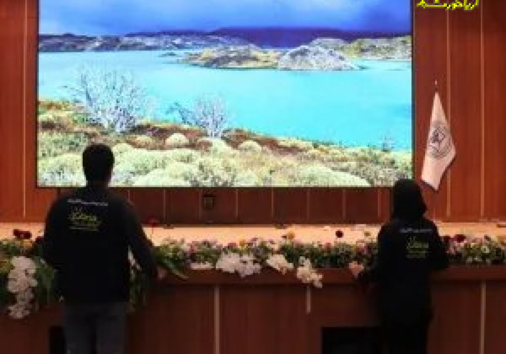 ویدئو وال یا تلوزیون شهری